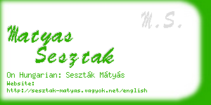 matyas sesztak business card